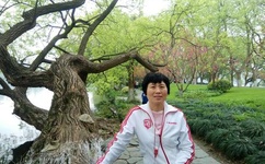 康复舞春满人间